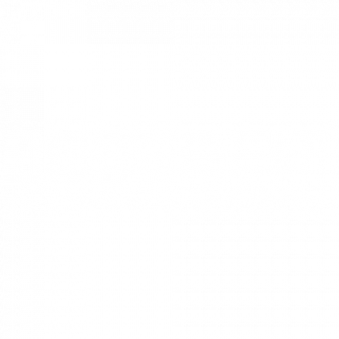 Body and Fit logo